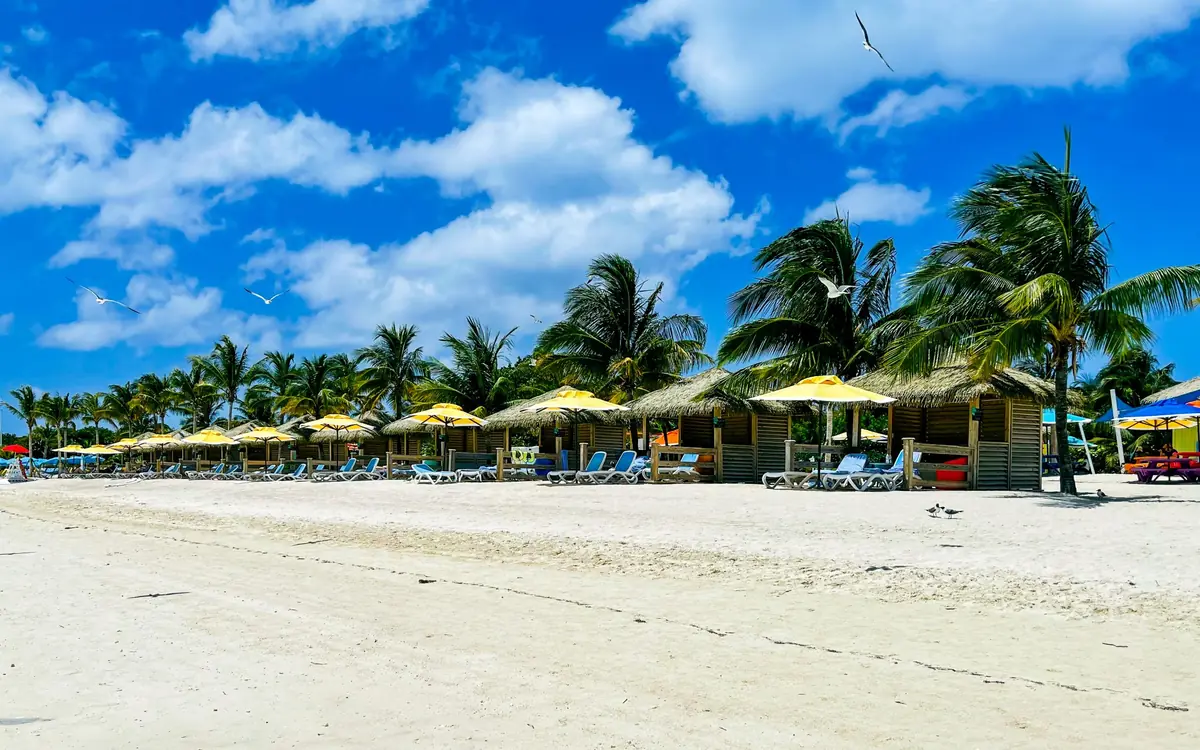 Row of palm trees and cabanas along a white-sand tropical beach