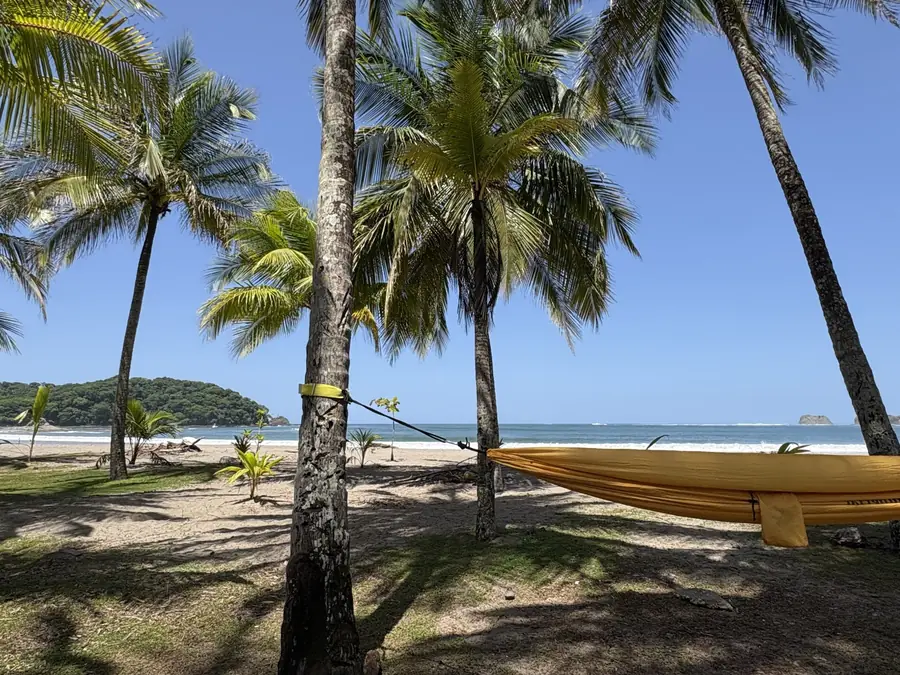 Hammock strung between palm trees on a quiet beach